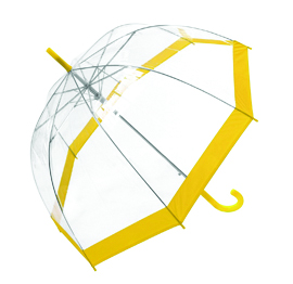 Transparent With Trim Umbrella 