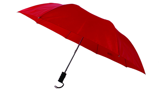 42 inch 2 fold automatic open umbrellas manufacturer