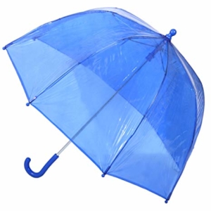 blue clear umbrella