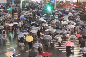 clear umbrella in japan