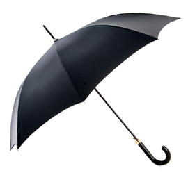 classy gentleman’s umbrella