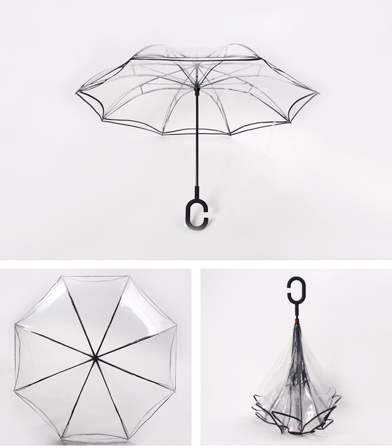 clear inverted umbrellas